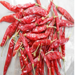 SBJEI-FRESH DRY RED CHILLI